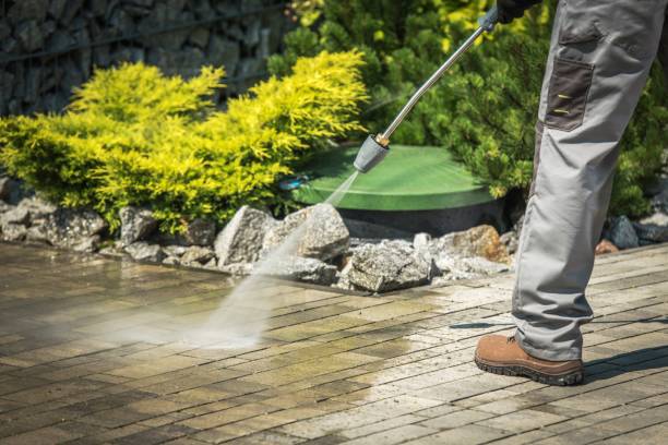 Best Roof Washing  in Caruthersville, MO